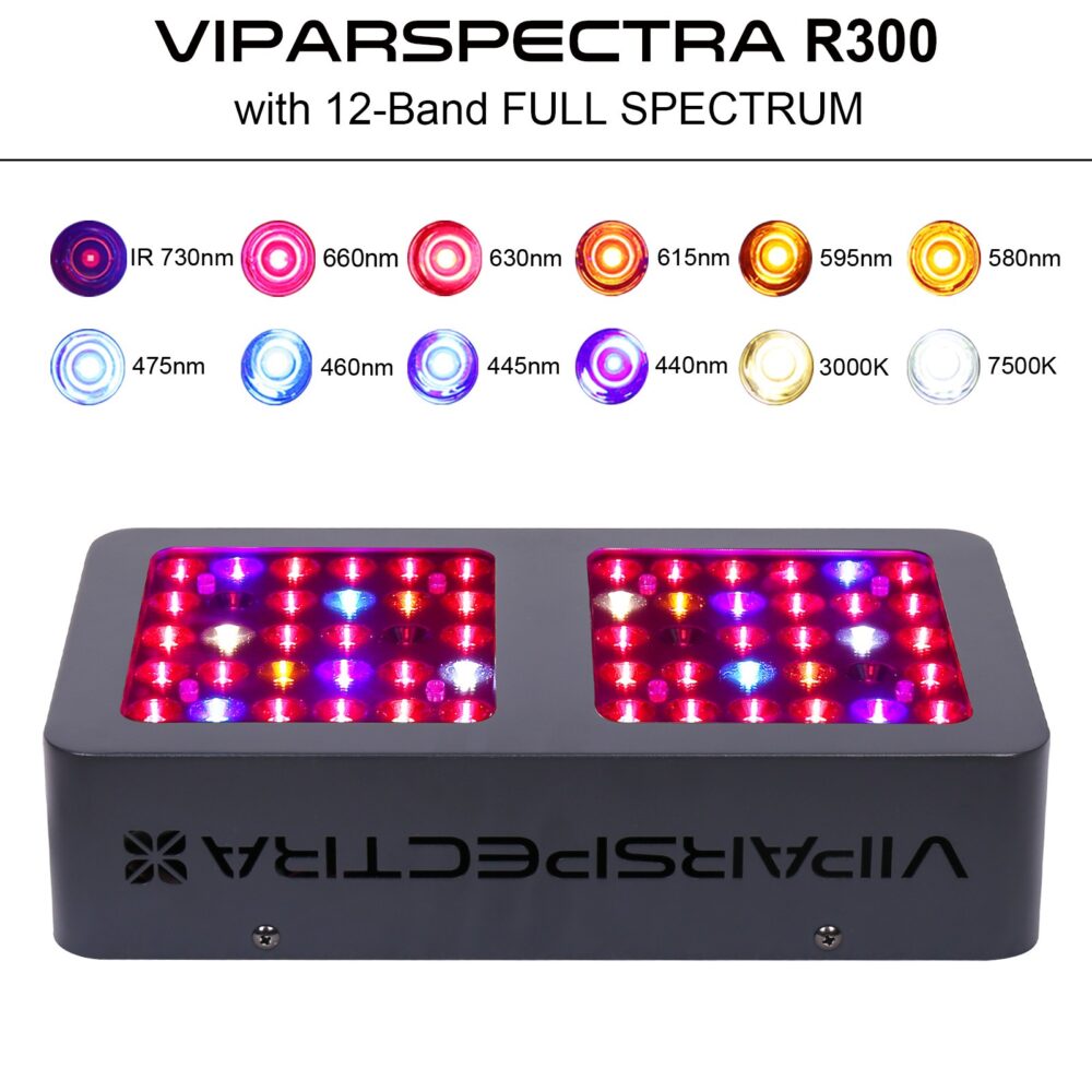 VIPARSPECTRA V300