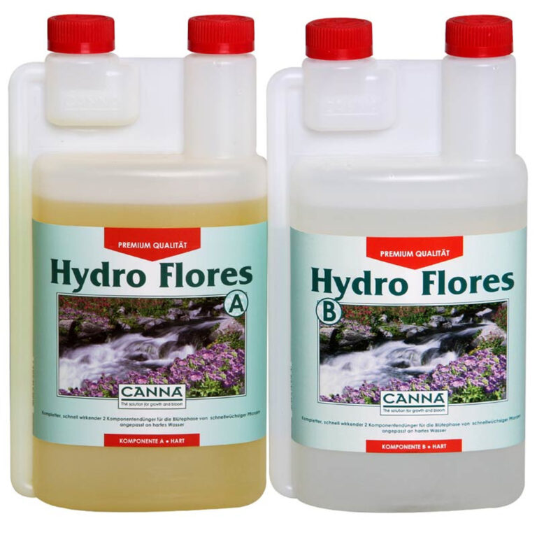 canna-hydro-flores-grolys