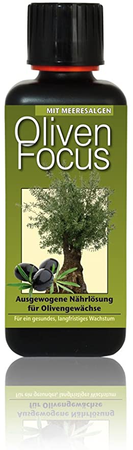 olive-focus-goedning