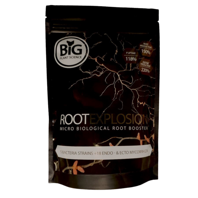 ROOT EXPLOSION – Big Plant Sceince