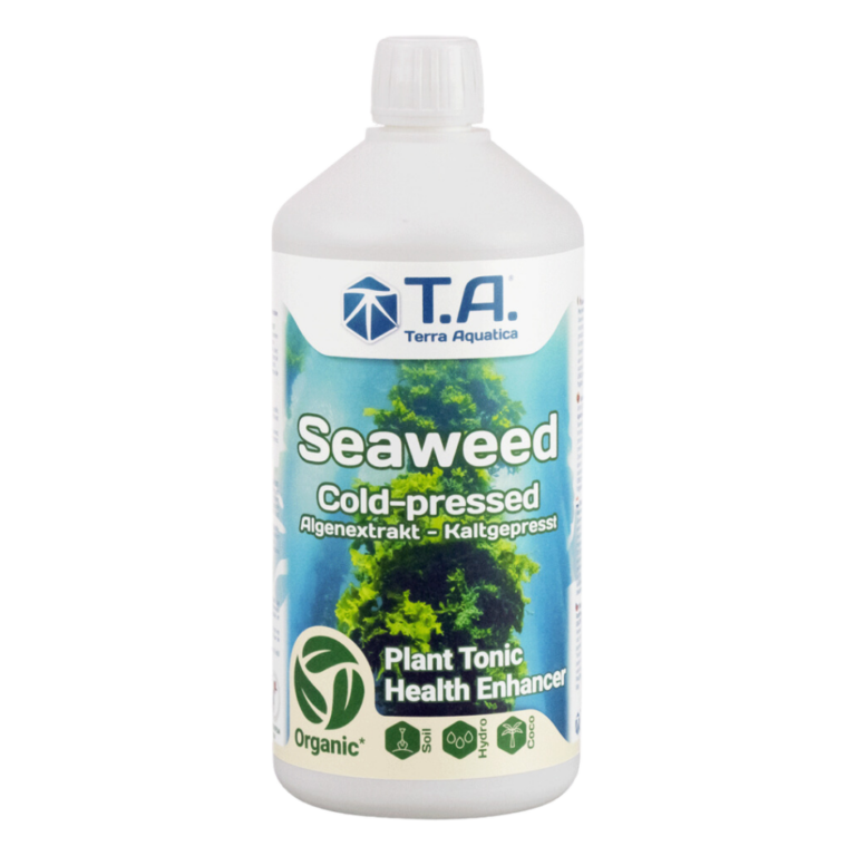 Terra Aquatica – Seaweed