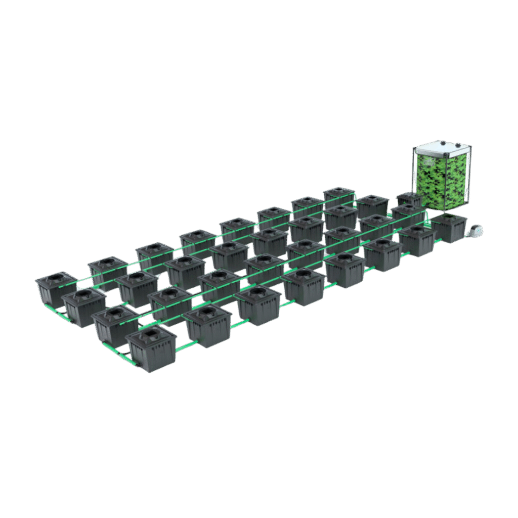 Alien - RDWC 32 Pot 36L