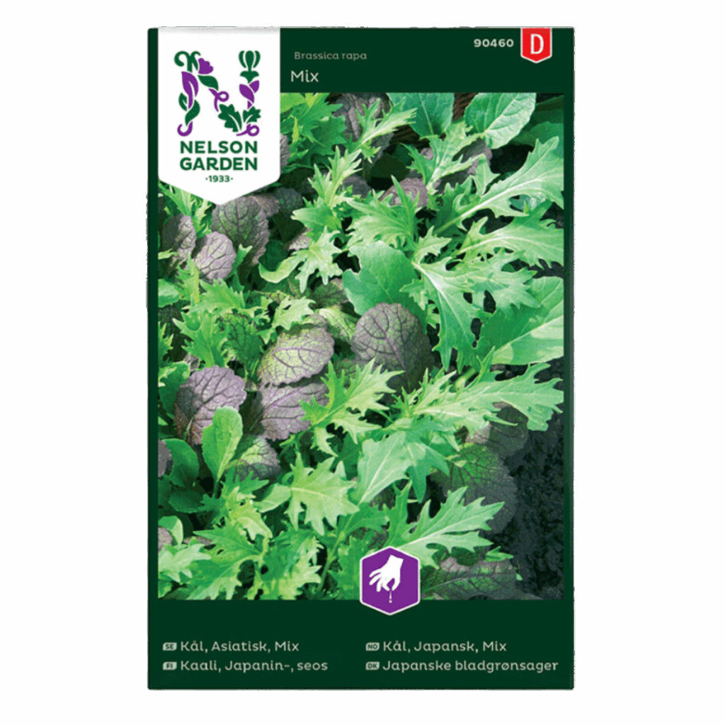 Brassica Rapa