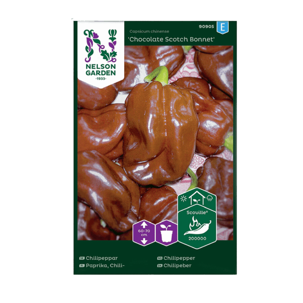 Chocolate Scotch Bonnet