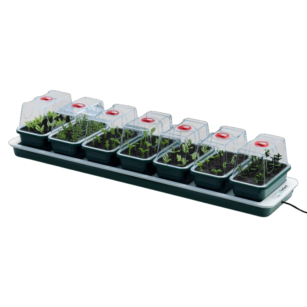 Garland – Super7 opvarmet Propagator