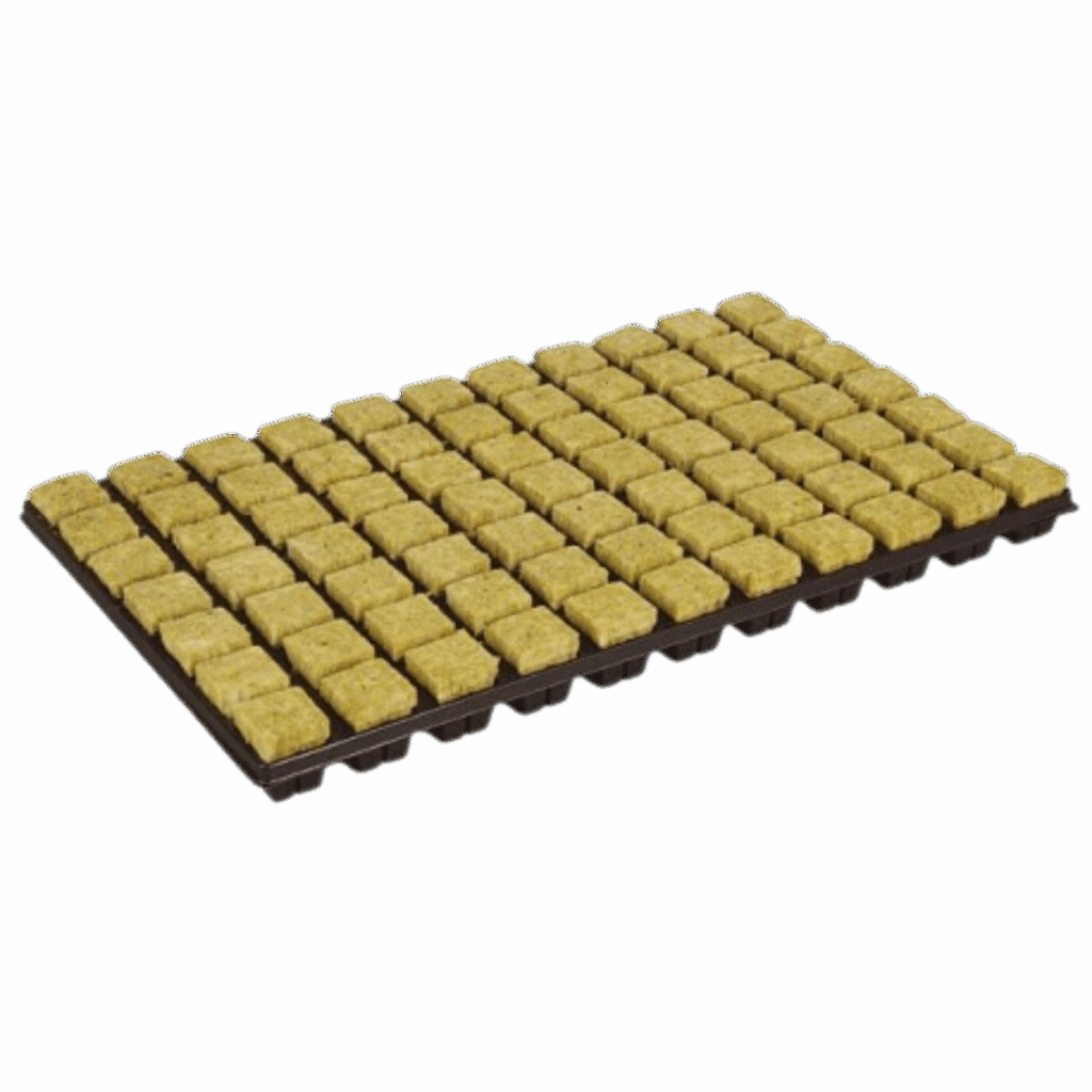 Grodan Rockwool Trays 77stk