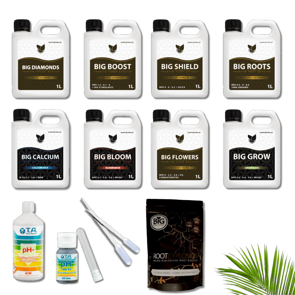 Big Plant Science - Komplet Kit