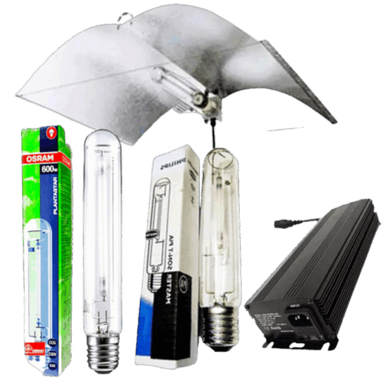 Komplet-digital-kit-medium-wing