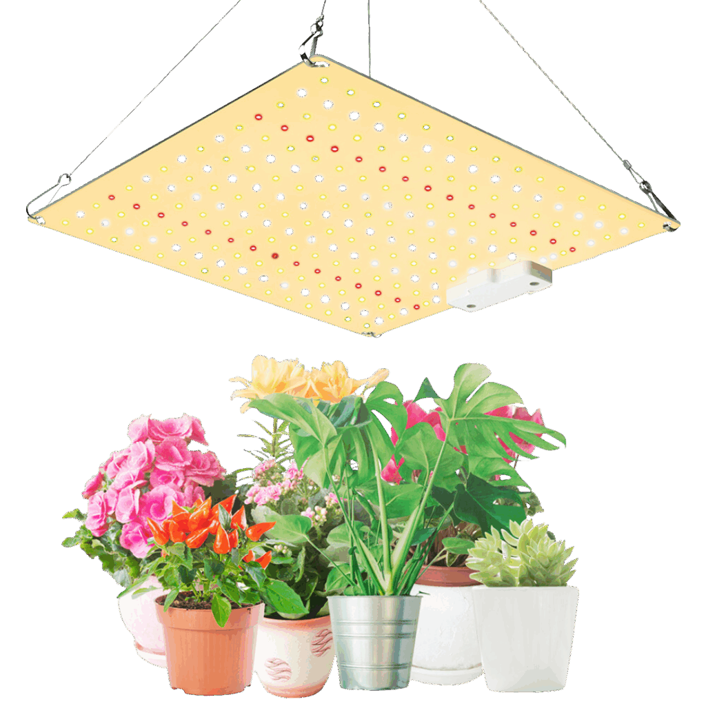 Ledlys vækst og blomst - 50W