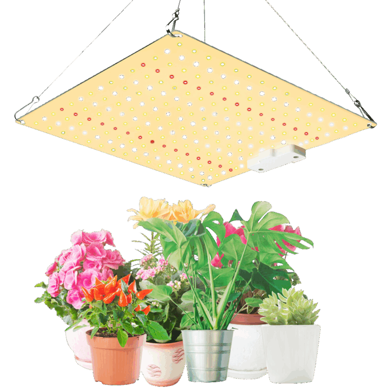 Ledlys-vaekst-og-blomst-–-50W