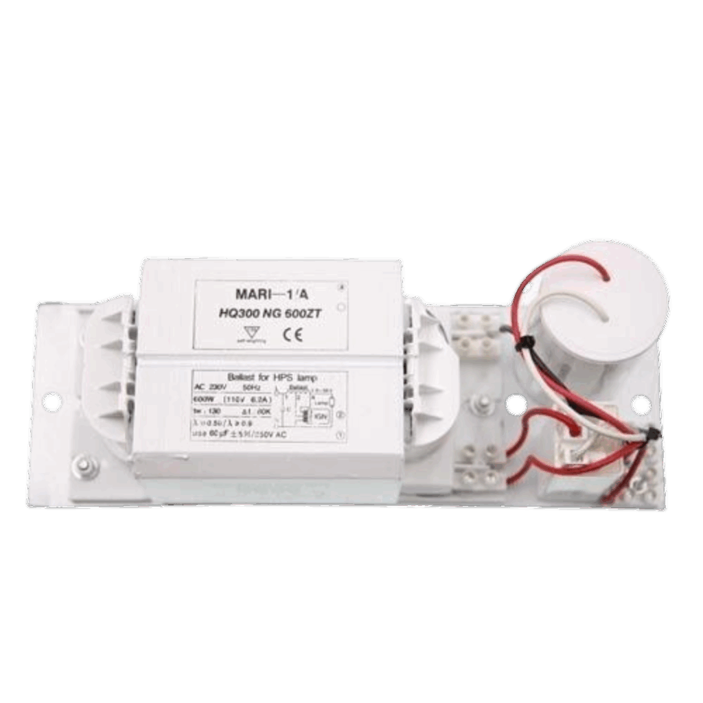 Mari Ballast 600 W