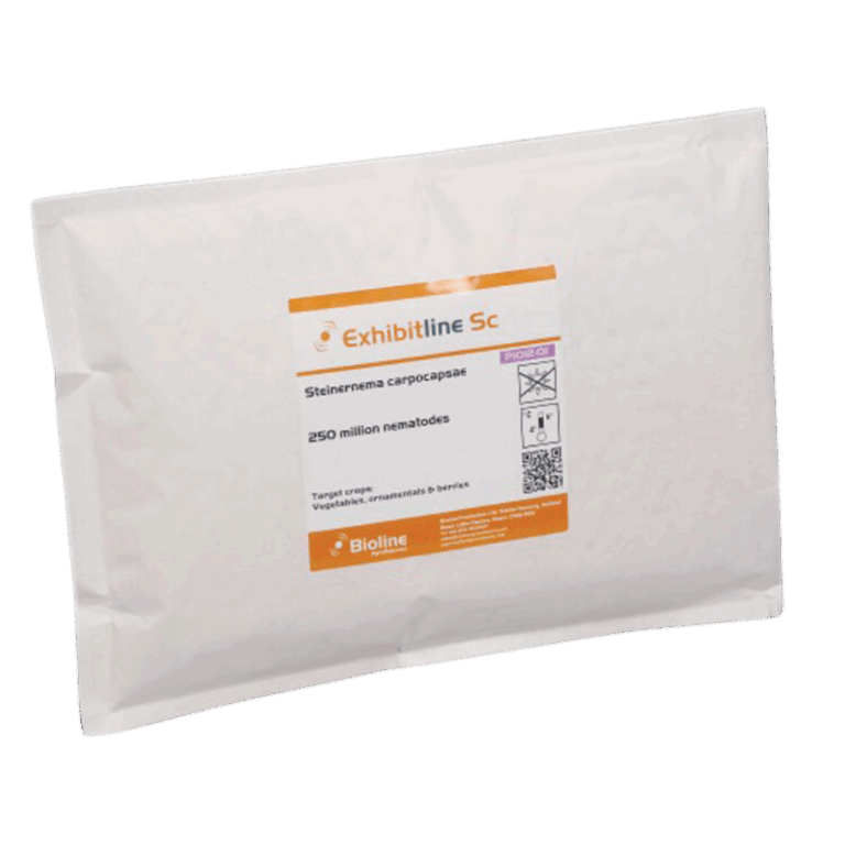 NematoderEXHIBITLINE-PH-3mio-–-mod-snegle