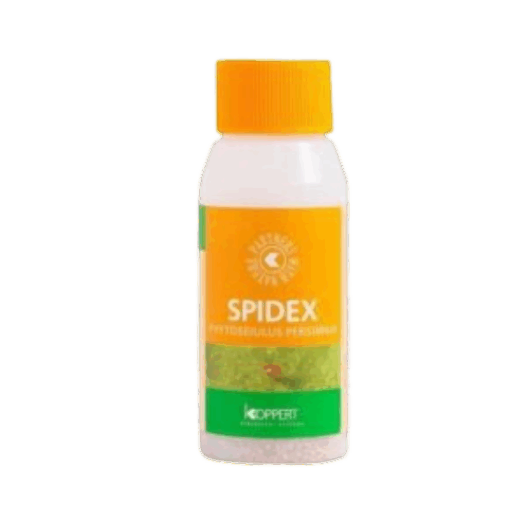 Spidex 2000 stk - mod spindemider