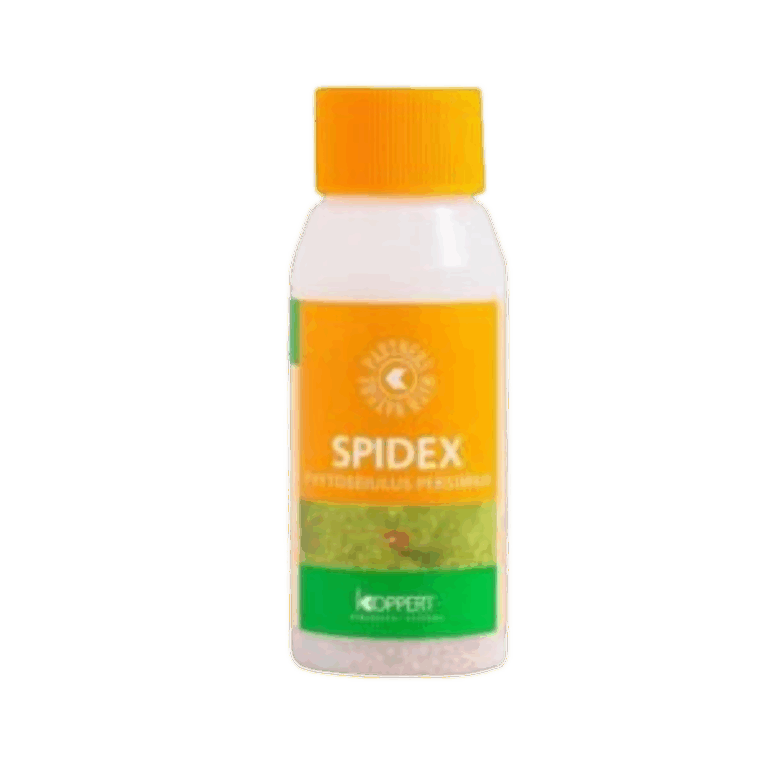 Spidex-2000-stk-–-mod-spindemider