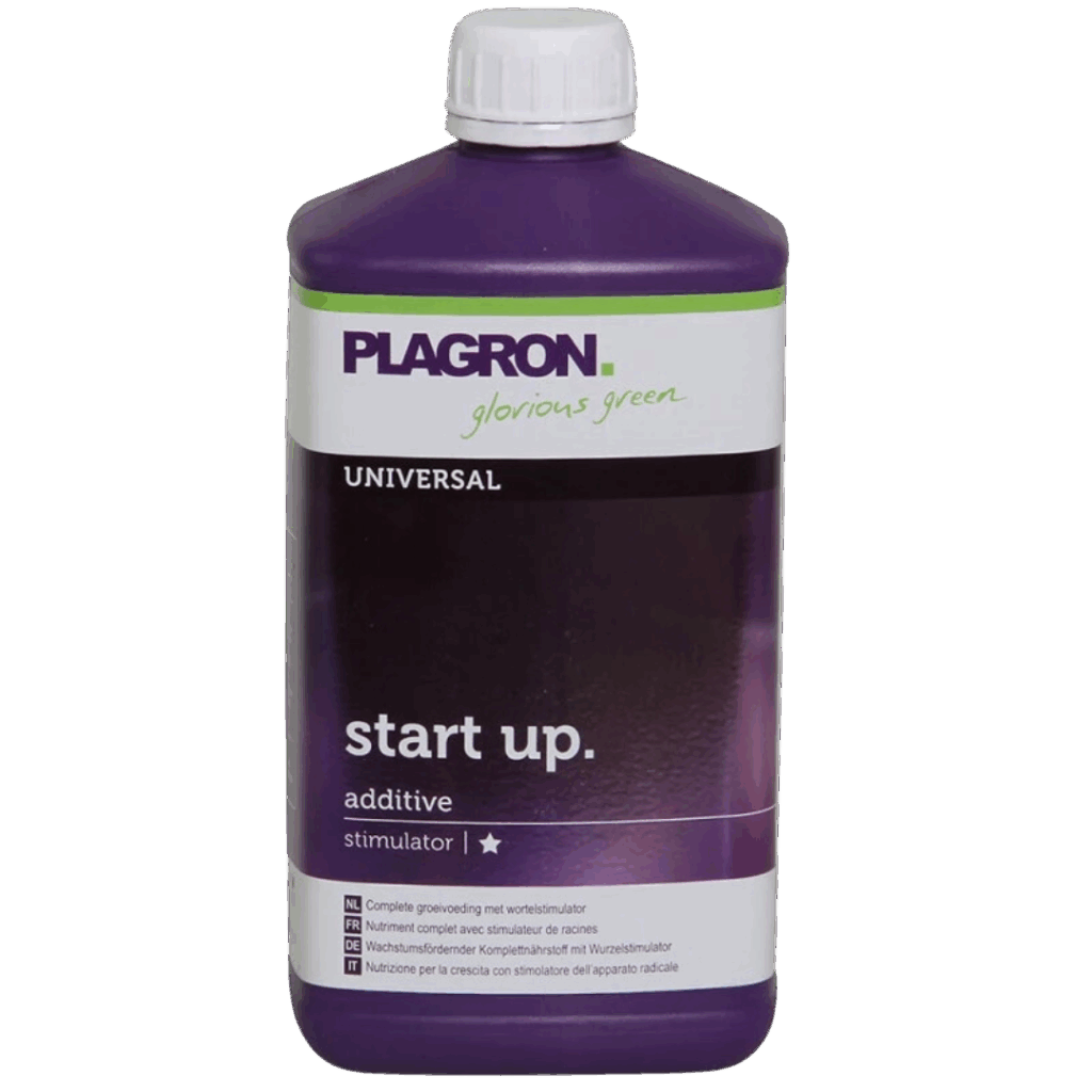 Start up 1L