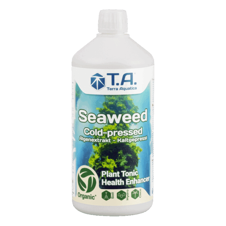 Terra-Aquatica-–-Seaweed