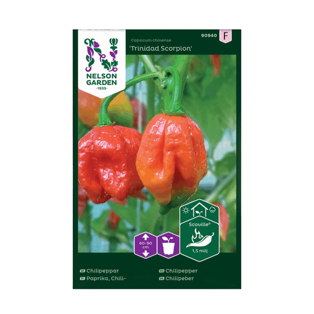 Trinidad Scorpion