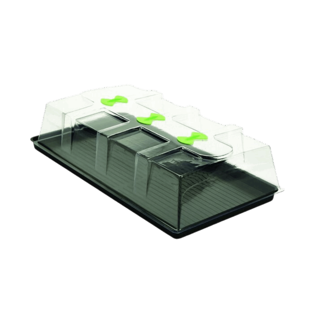 X-Stream Basic Propagator