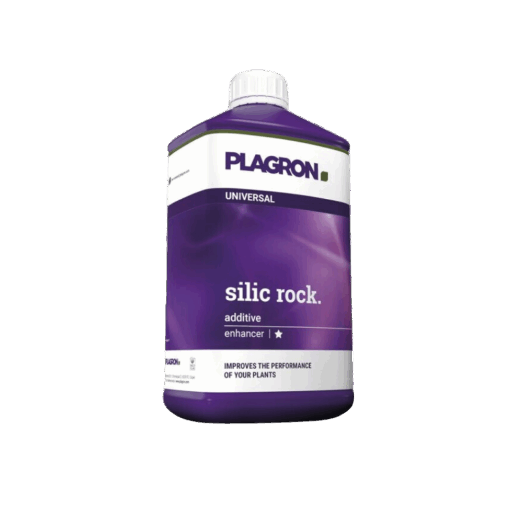 silic rock - Plagron