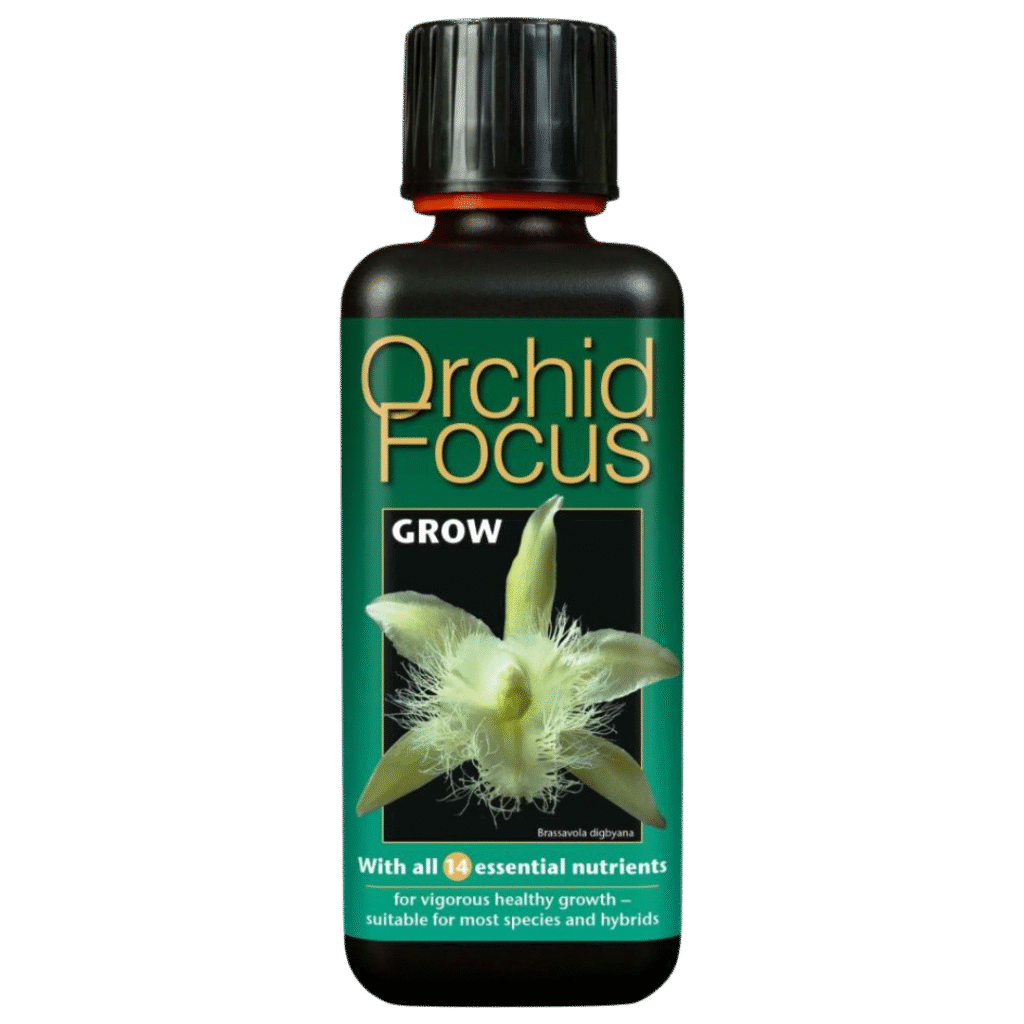 Growth Technology - Orkide Focus