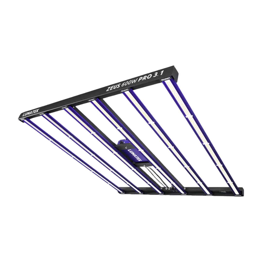 LUMATEK-–-Zeus-600W-pro-31