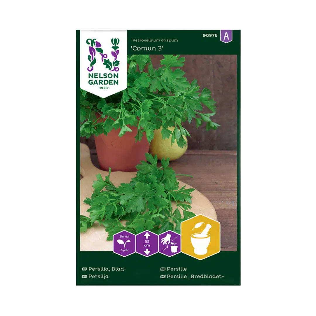 Bredbladet-persille