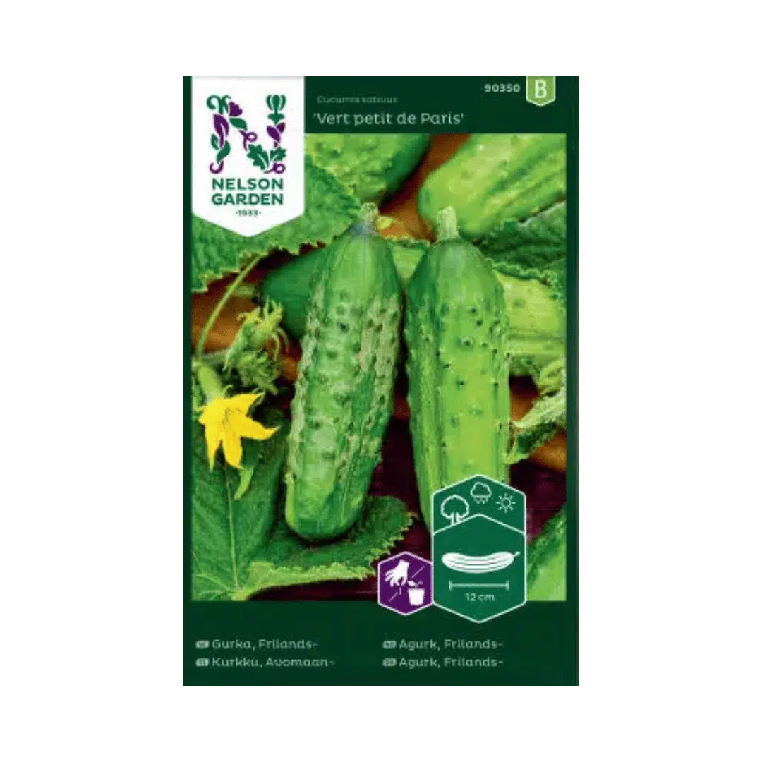 Drueagurk-‘Vert-petit-de-Paris