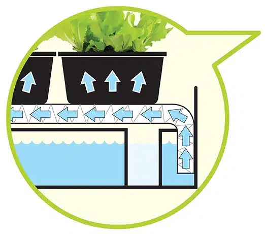 g187_micro_grow_light_garden_self_watering_illustration3