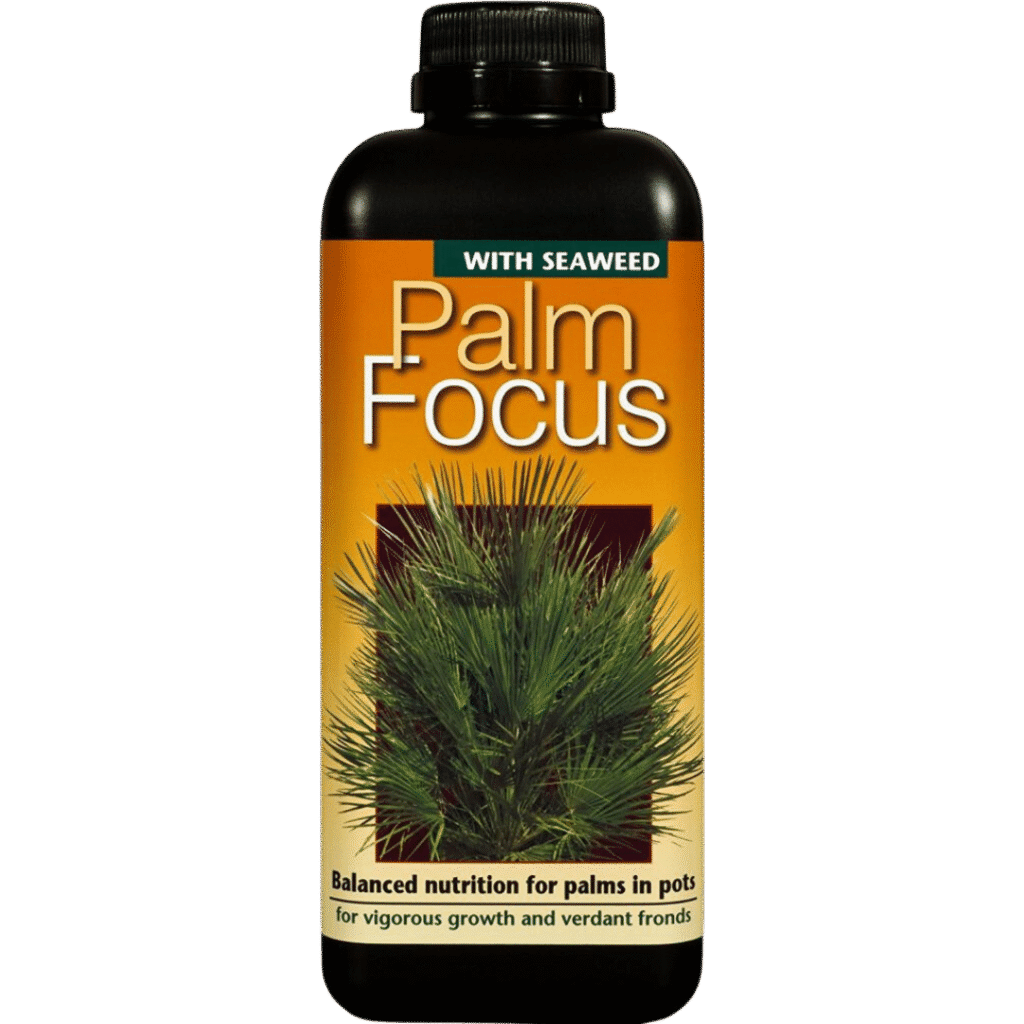 Palm Focus 1L