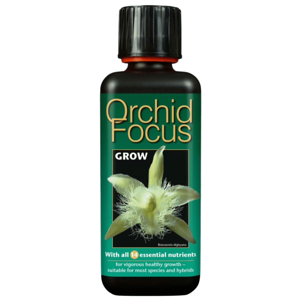 Growth Technology - Orkide Focus