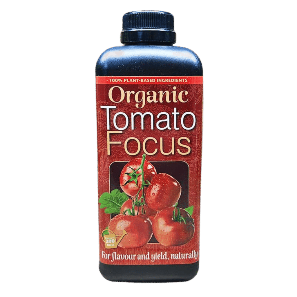 Organic Tomato Focus