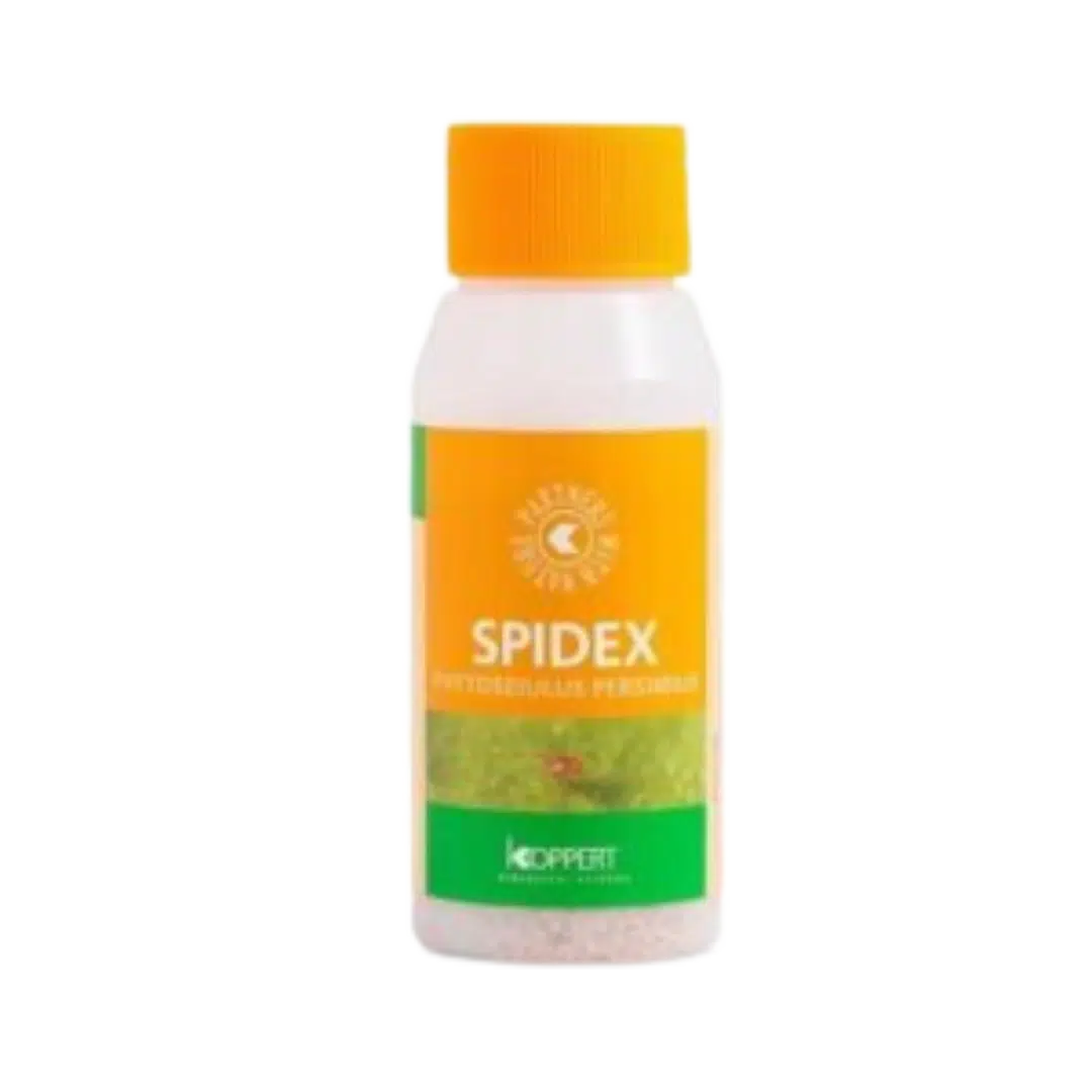 Spidex-2000-stk-–-mod-spindemider