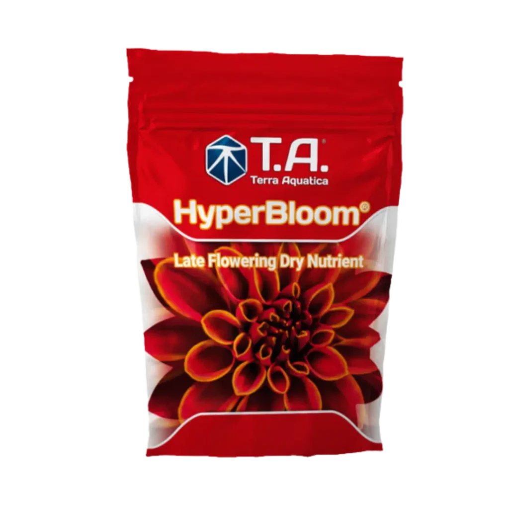T.A Hyper Bloom