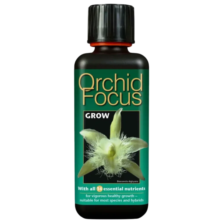 Growth-Technology-–-Orkide-Focus