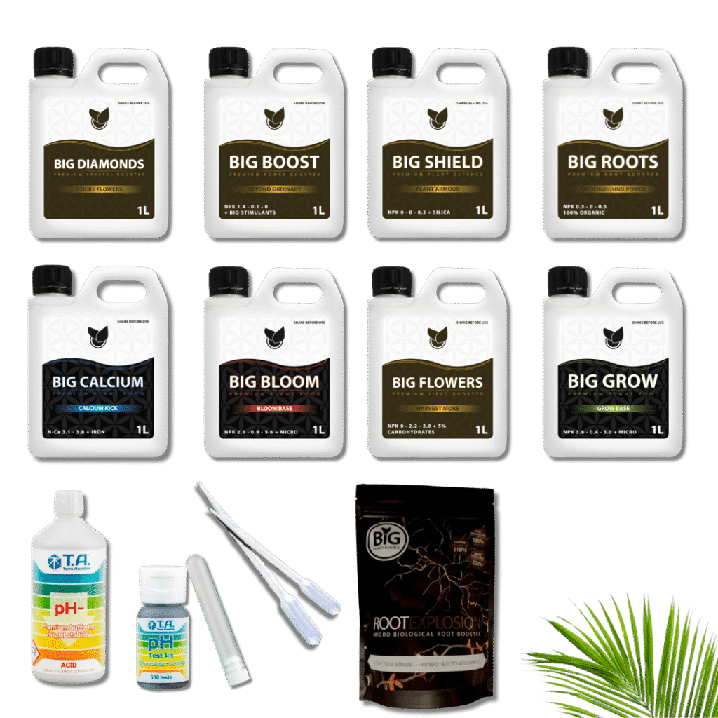 Big Plant Science - Komplet Kit