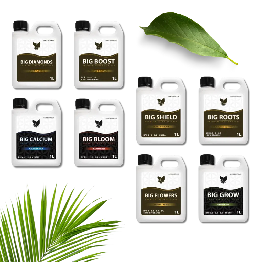 Komplet Premium Kit  - Big Plant Science