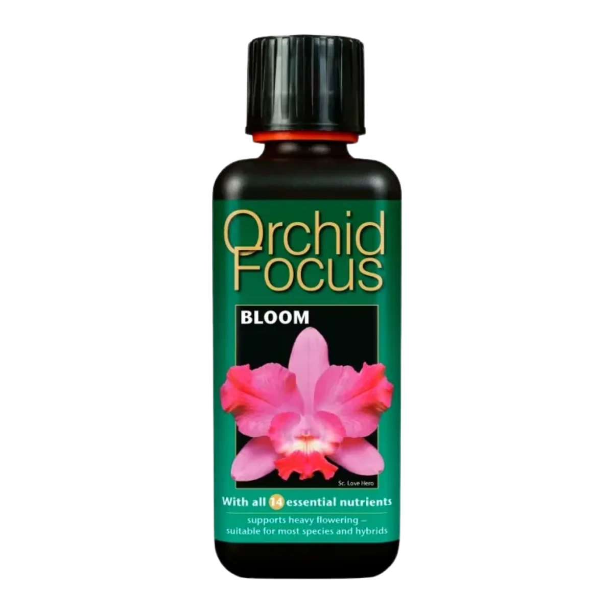 growth-technology-orchid-focus-bloom-1l